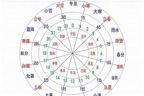 11月五行|五行查询生辰八字查询,五行缺什么查询